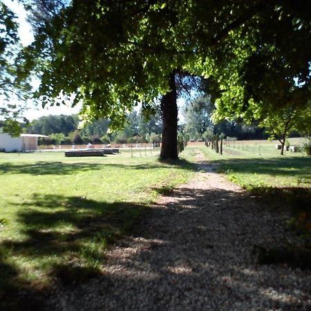 הוילה אביניון Domaine De Rochegude מראה חיצוני תמונה