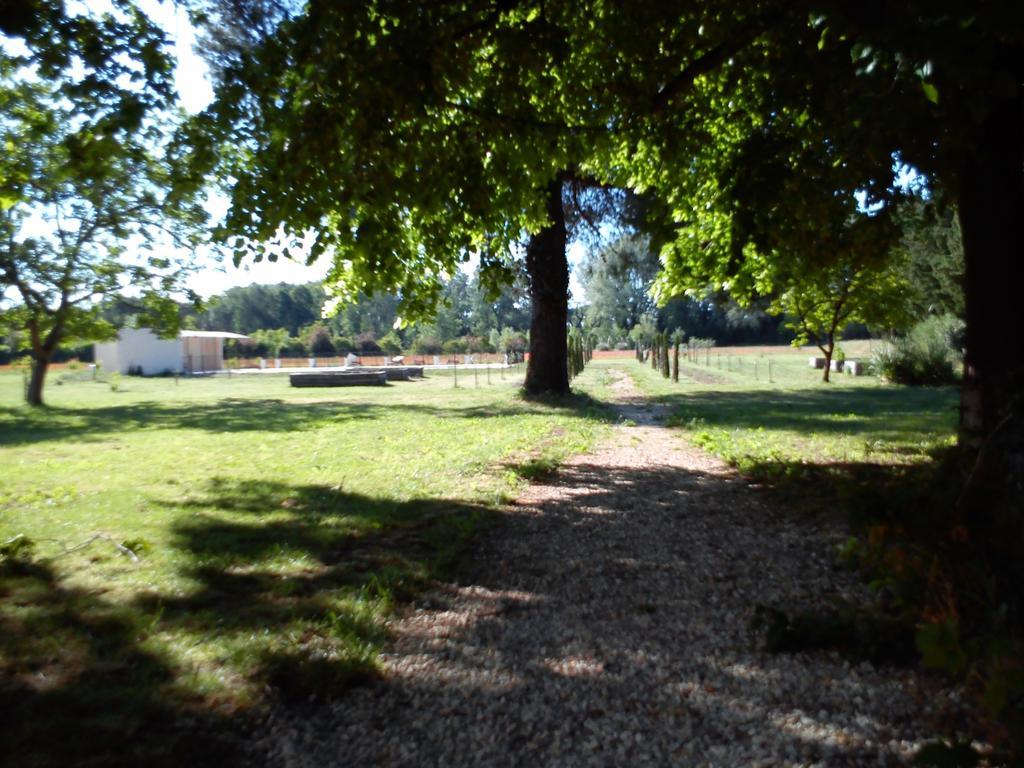 הוילה אביניון Domaine De Rochegude מראה חיצוני תמונה