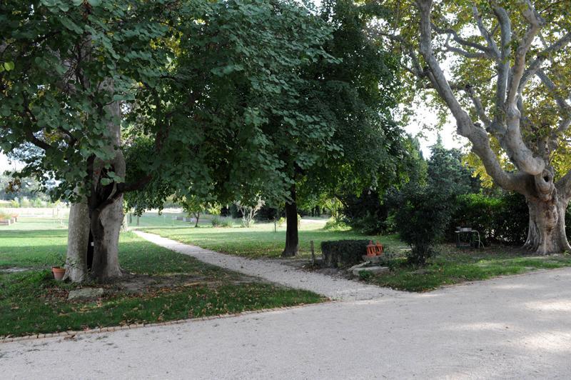 הוילה אביניון Domaine De Rochegude מראה חיצוני תמונה
